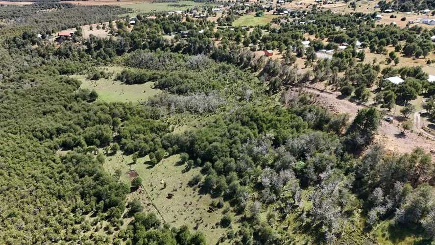 Campo con agua APR y vegetacion nativa (187231)
