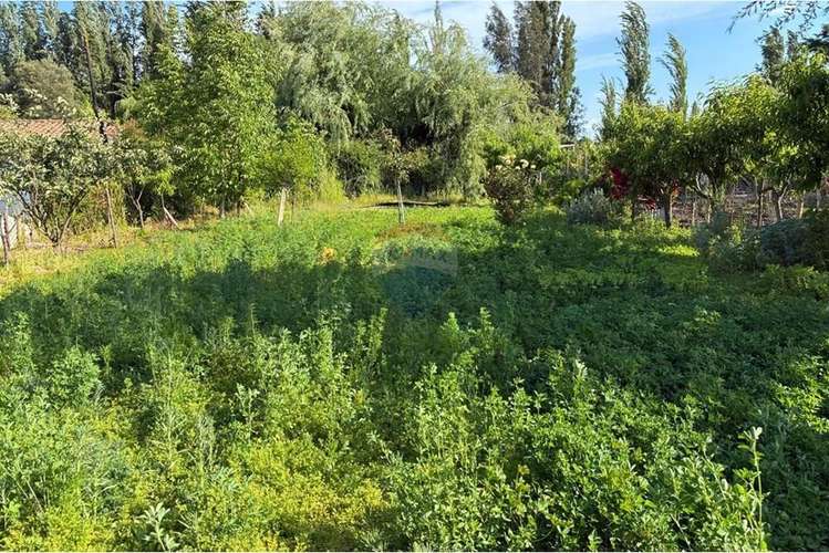 Parcela con casa en venta, san vicente de t. t. - Imagen 20
