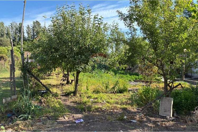 Parcela con casa en venta, san vicente de t. t. - Imagen 23