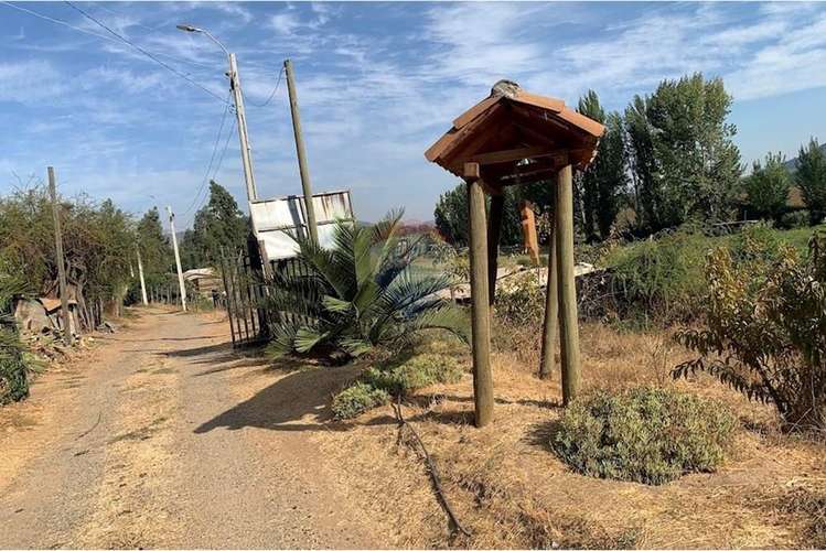 Parcela con casa y árboles frutales 6,63 has - Imagen 38