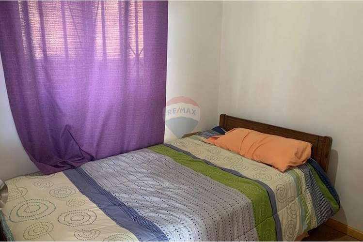 Parcela con casa y árboles frutales 6,63 has - Imagen 11