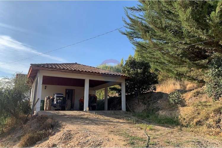 Parcela con casa y árboles frutales 6,63 has - Imagen 17