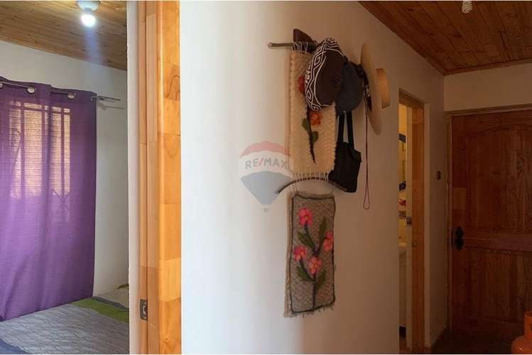 Parcela con casa y árboles frutales 6,63 has - Imagen 15