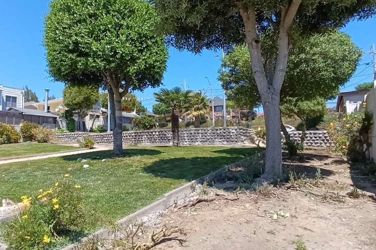 Casa con depto independiente en pucalan pichilemu - Imagen 13