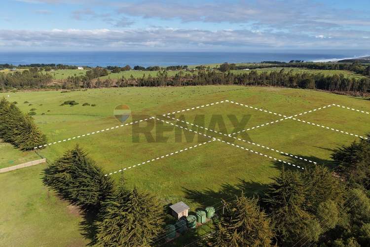 Terreno 5.000 m² cahuil a 1500m de la playa