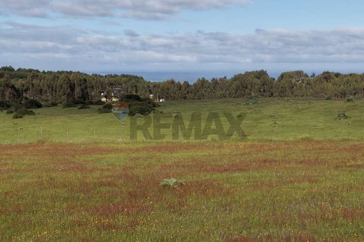 Terreno 5.000 m² cahuil a 1500m de la playa