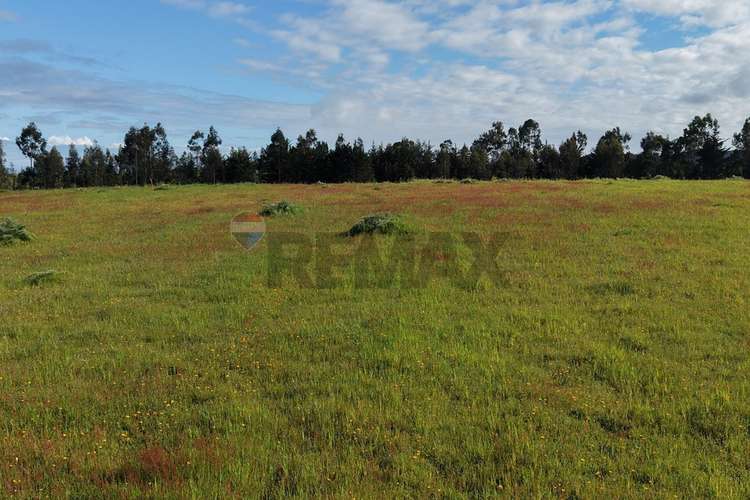 Terreno 5.000 m² cahuil a 1500m de la playa