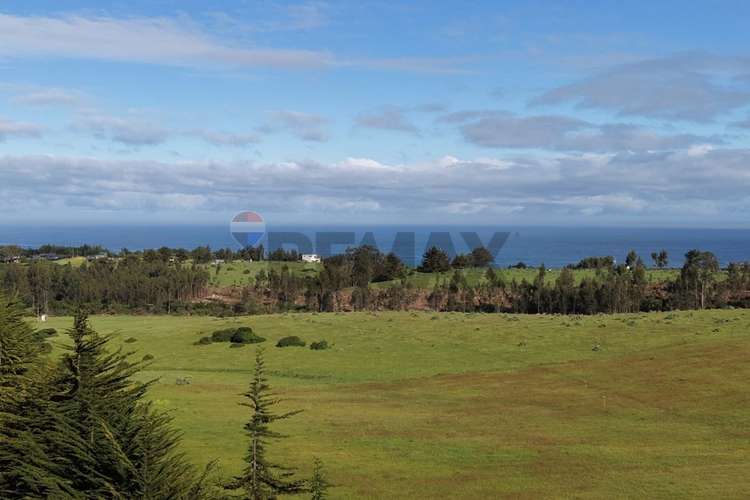 Terreno 5.000 m² cahuil a 1500m de la playa