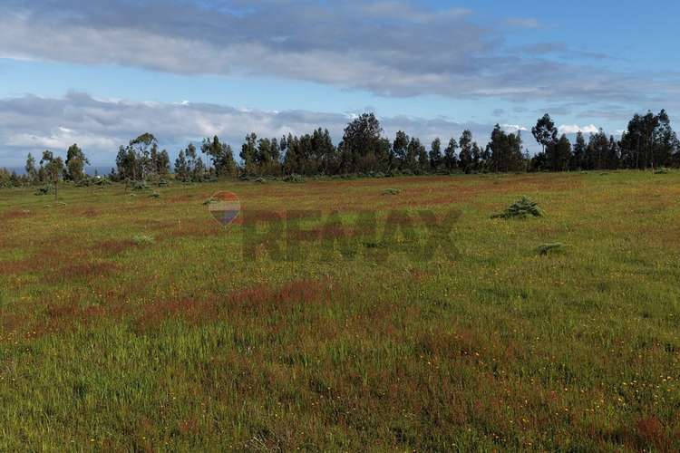 Terreno 5.000 m² cahuil a 1500m de la playa