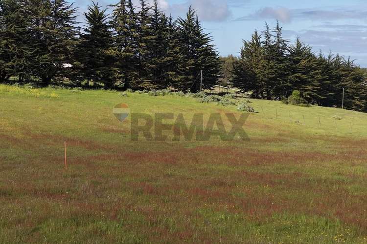 Terreno 5.000 m² cahuil a 1500m de la playa