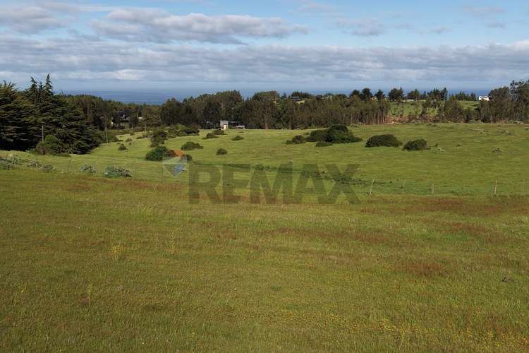 Terreno 5.000 m² cahuil a 1500m de la playa