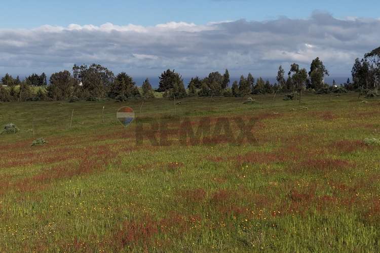 Terreno 5.000 m² cahuil a 1500m de la playa