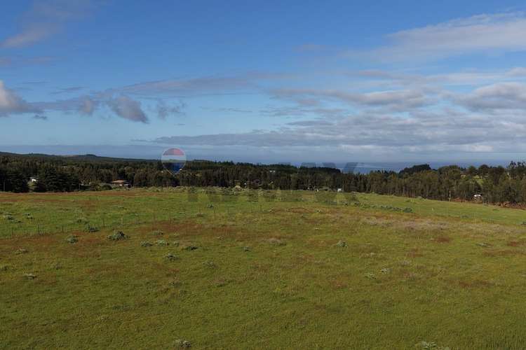 Terreno 5.000 m² cahuil a 1500m de la playa