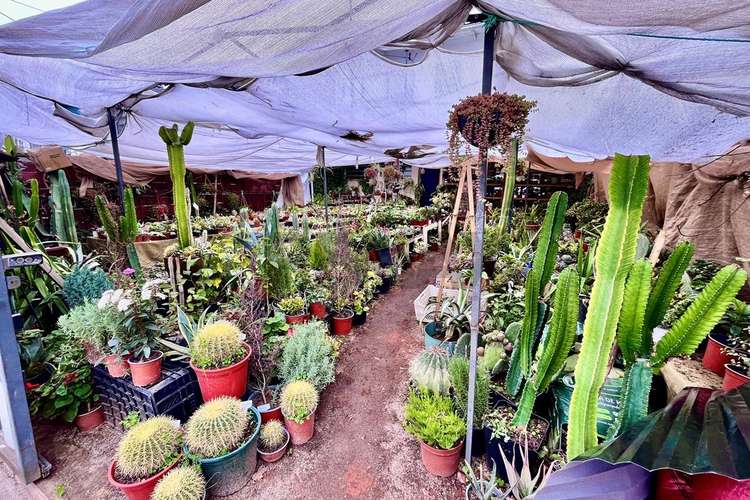 Casa comercial  gran espacio,  para  exhibición - Imagen 5