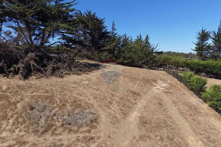 Terreno 1000m2 vista al mar punta de lobos