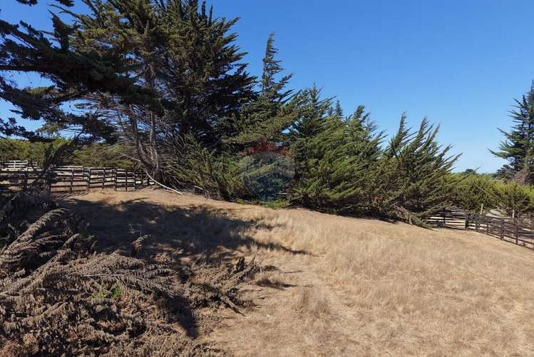 Terreno 1000m2 vista al mar punta de lobos