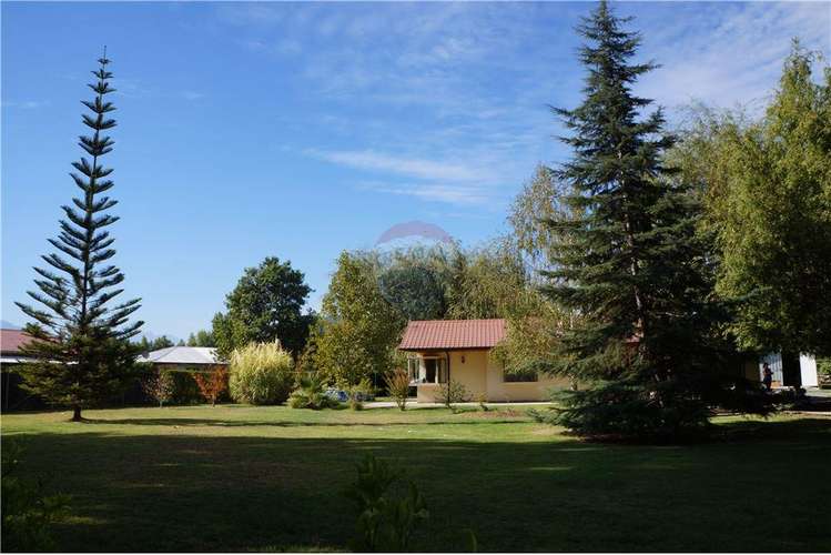 Bajamos el precio gran parcela con casa 6000 m2 - Imagen 3