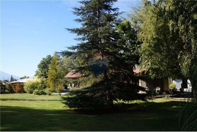 Bajamos el precio gran parcela con casa 6000 m2 - Imagen 32
