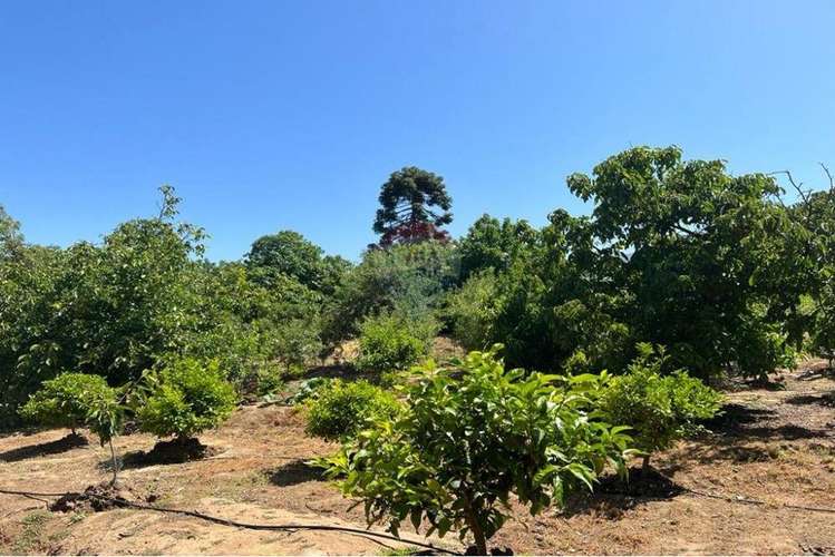 Oportunidad casa con campo - Imagen 17