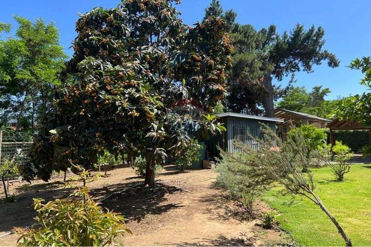 Campo de agrado con casa limache/olmué - Imagen 9
