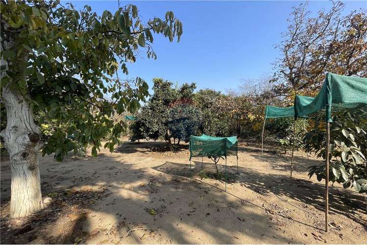Campo de agrado con casa limache/olmué - Imagen 36