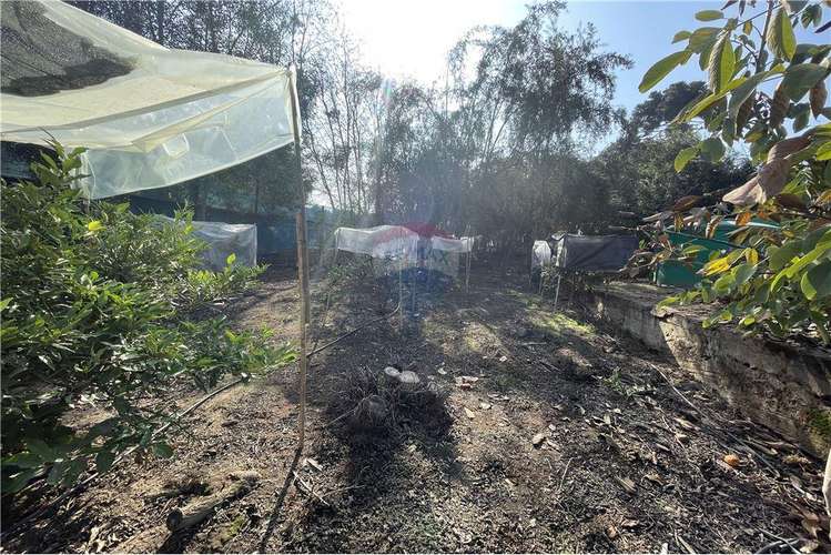 Campo de agrado con casa limache/olmué - Imagen 38