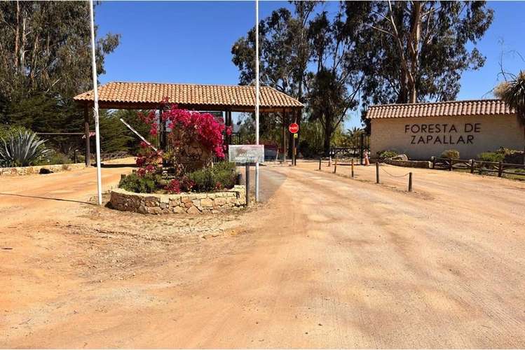 Venta casa foresta de zapallar - Imagen 2