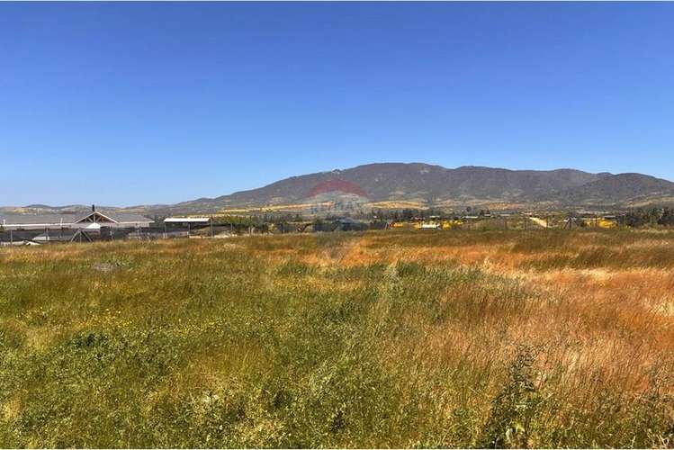 Venta casa foresta de zapallar - Imagen 15