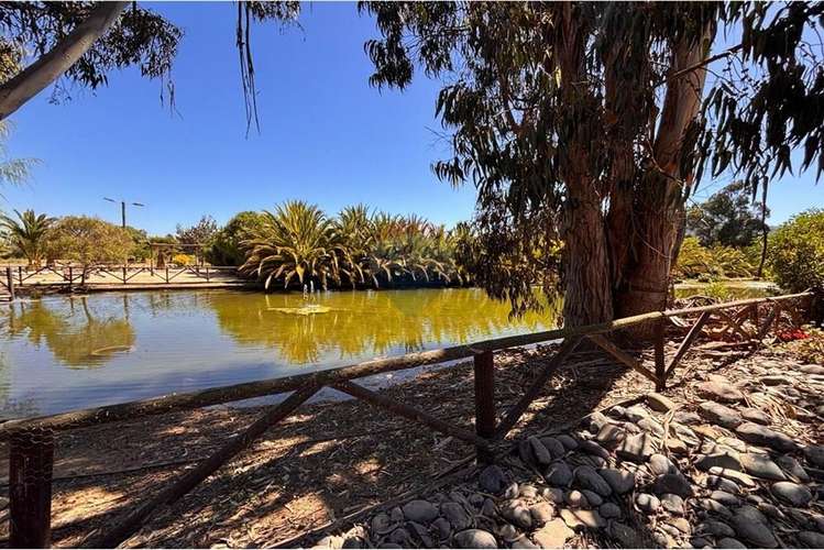 Venta casa foresta de zapallar - Imagen 19
