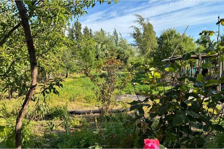 Parcela con casa en venta, san vicente de t. t. - Imagen 22