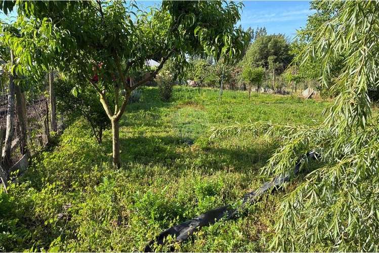 Parcela con casa en venta, san vicente de t. t. - Imagen 21