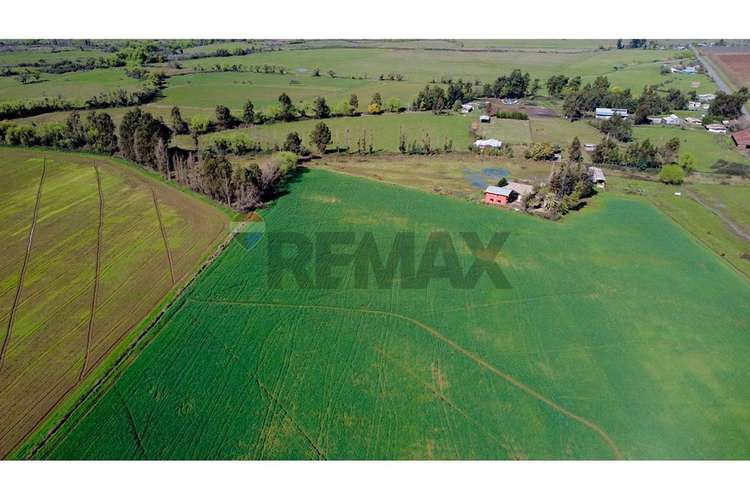 Oportunidad inversión agroind 21,5 ha talca