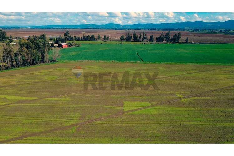 Oportunidad inversión agroind 21,5 ha talca