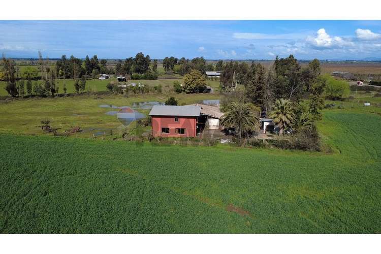 Oportunidad inversión agroind 21,5 ha talca