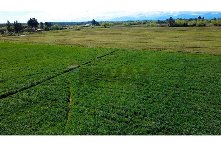 Oportunidad inversión agroind 21,5 ha talca