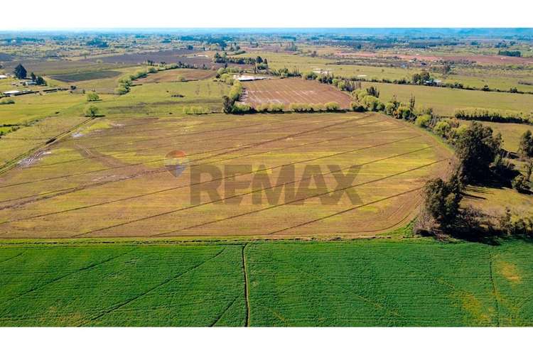 Oportunidad inversión agroind 21,5 ha talca