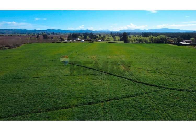 Oportunidad inversión agroind 21,5 ha talca
