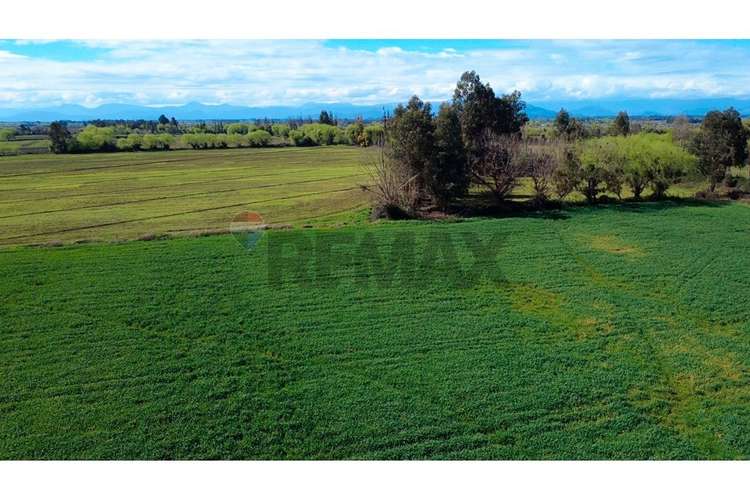 Oportunidad inversión agroind 21,5 ha talca