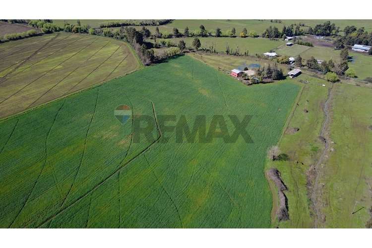 Oportunidad inversión agroind 21,5 ha talca