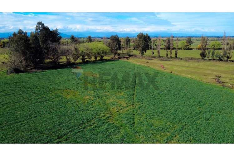 Oportunidad inversión agroind 21,5 ha talca