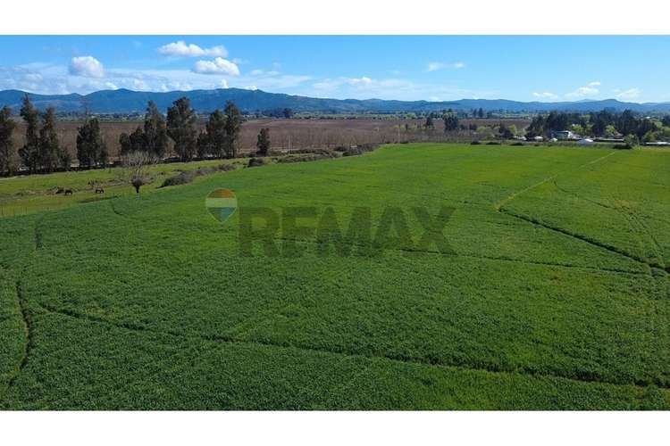 Oportunidad inversión agroind 21,5 ha talca