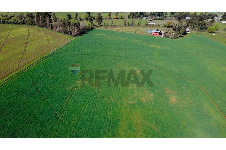 Oportunidad inversión agroind 21,5 ha talca