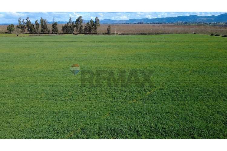 Oportunidad inversión agroind 21,5 ha talca