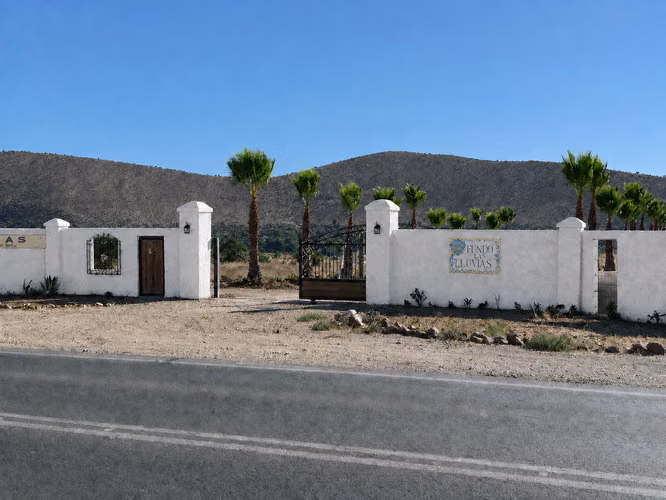 Hermosa parcela de 5.000m2 en la Ruta entre Punitaqui y Ovalle