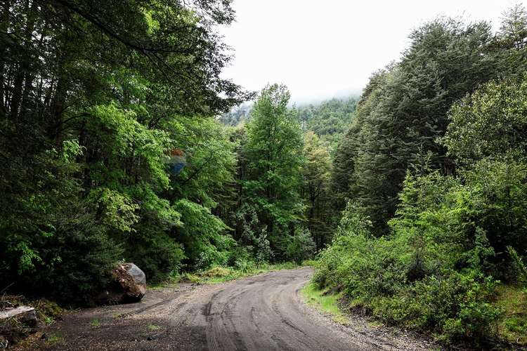 Venta parcela rinconada de pucón