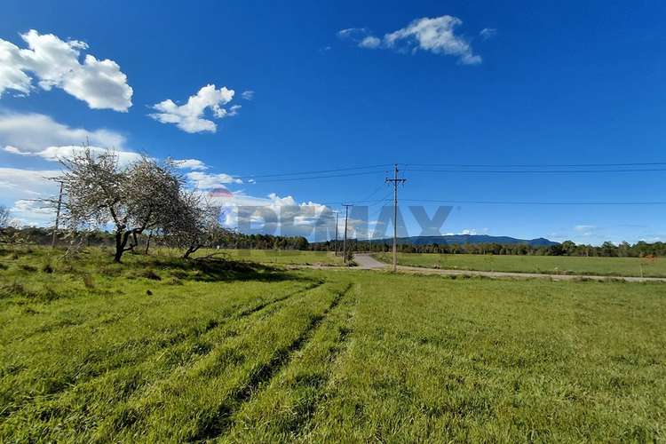 Parcela 36 con orilla de río en copihues del río - Imagen 12