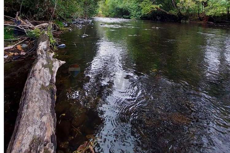 Parcela 36 con orilla de río en copihues del río - Imagen 6