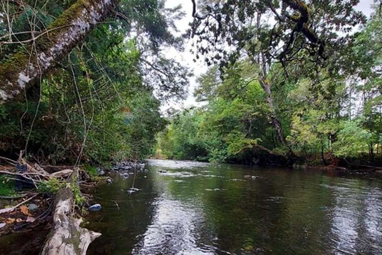 Parcela 36 con orilla de río en copihues del río