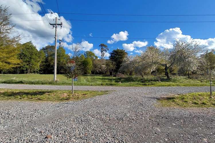 Parcela 36 con orilla de río en copihues del río - Imagen 15