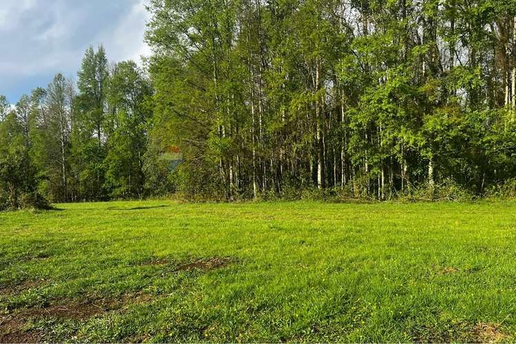 Terreno de ensueño en los riscos, pucón